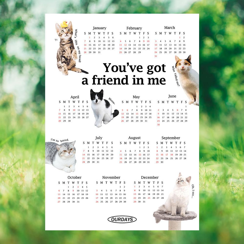 아우어데이즈 2024년 내친구 고양이 캘린더 포스터 고양이달력 1장 한장 낱장 감성 달력 2024