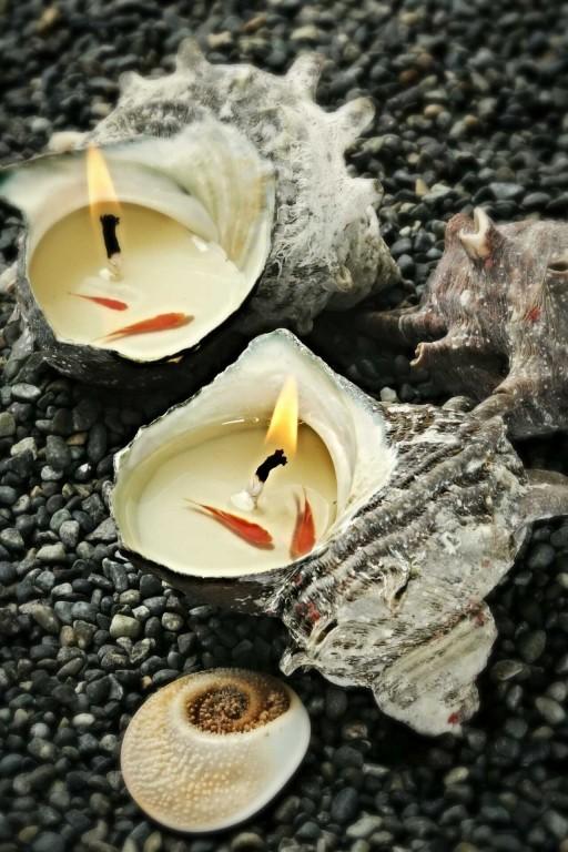 [선물추천]만족99% 제주 소라캔들