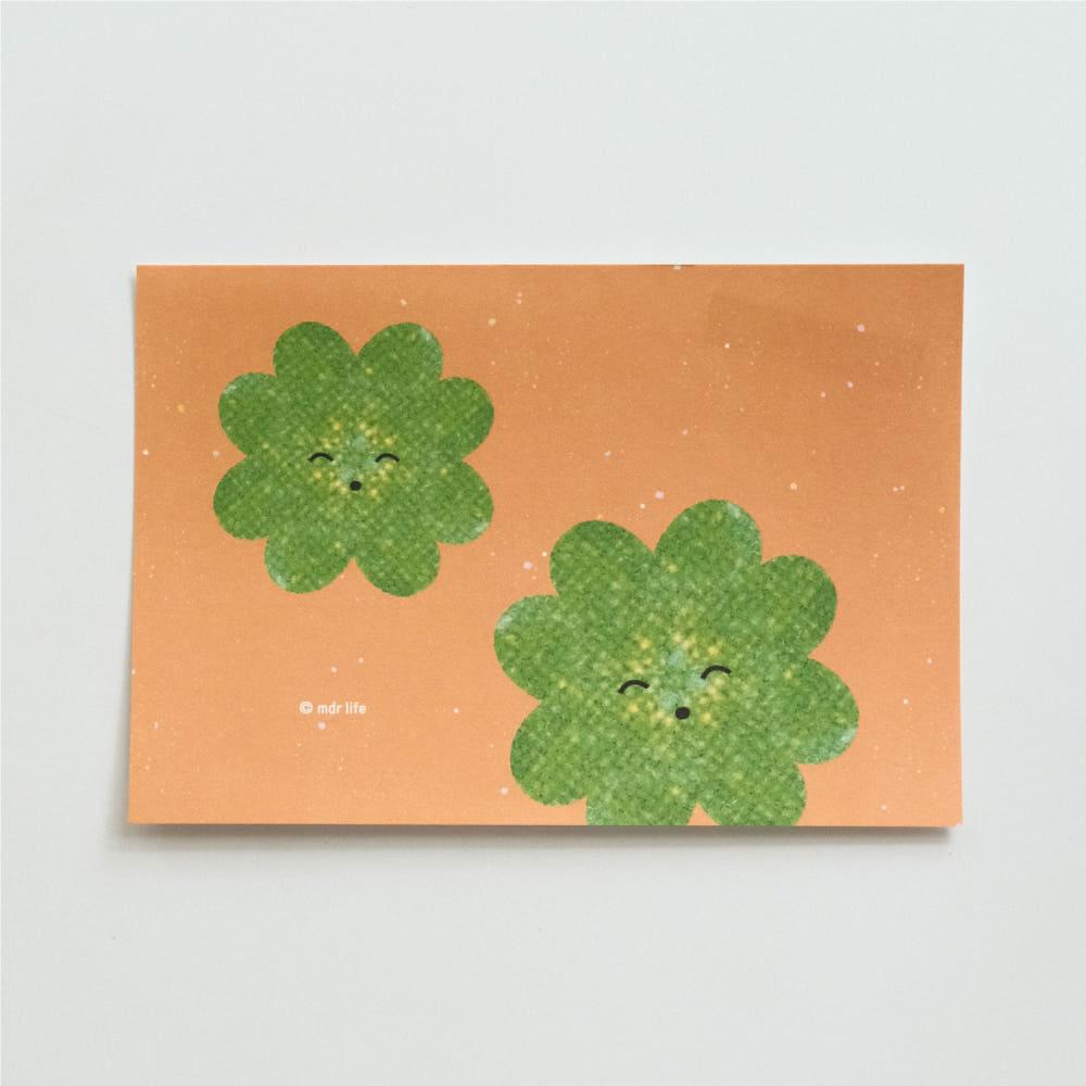 [얇은 엽서] 반짝이는 하루 - 행운 씨