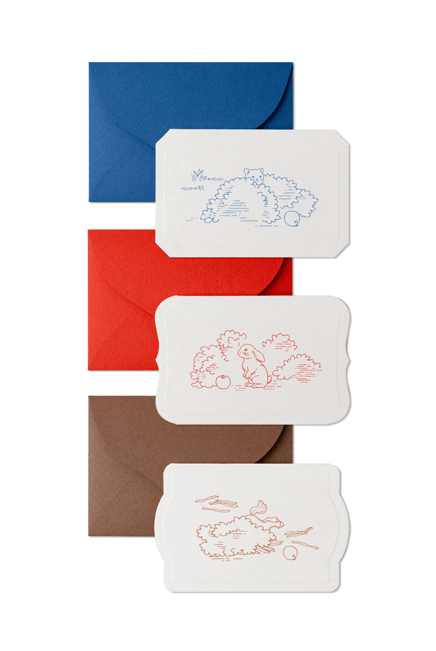 메시지 카드 POV x KBP Message Card