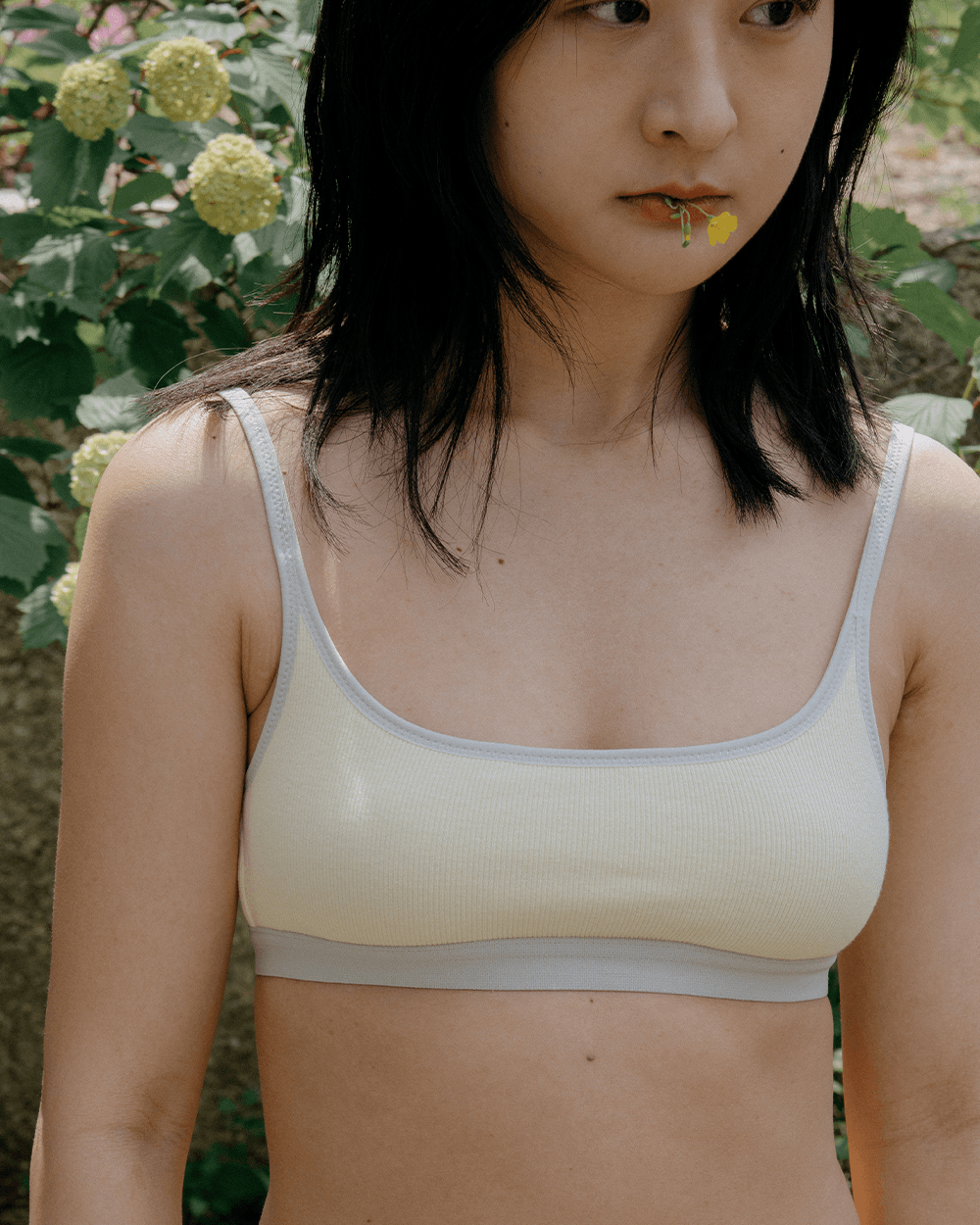 Square ribbed modal bra in lemon