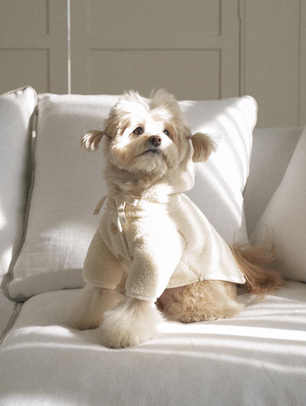 Shearing Hooded Jacket (Cream)