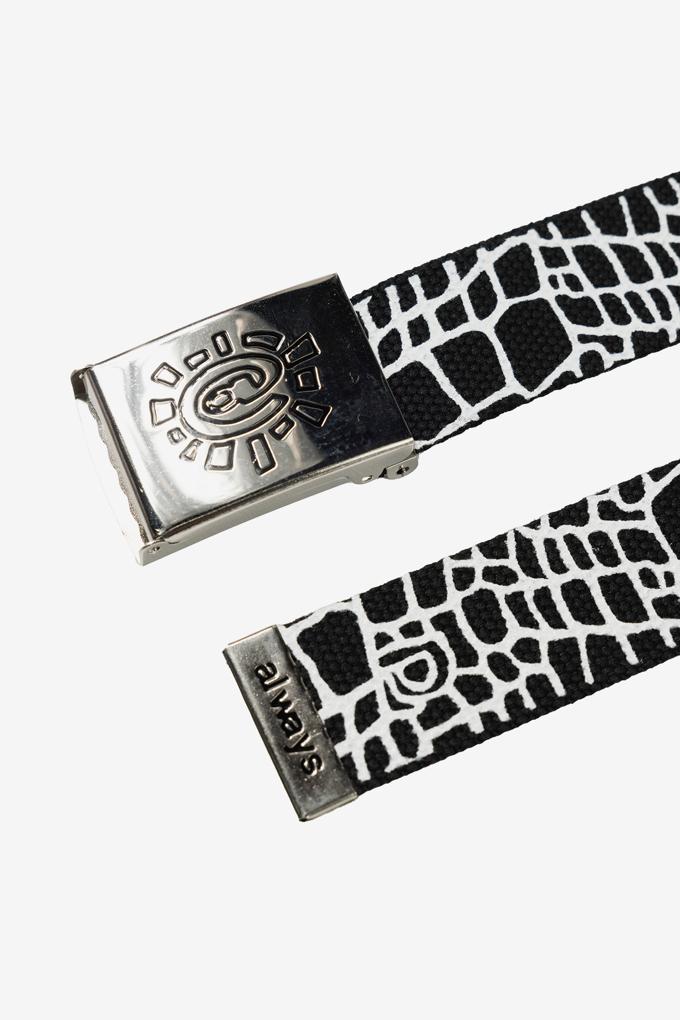 CROC BELT