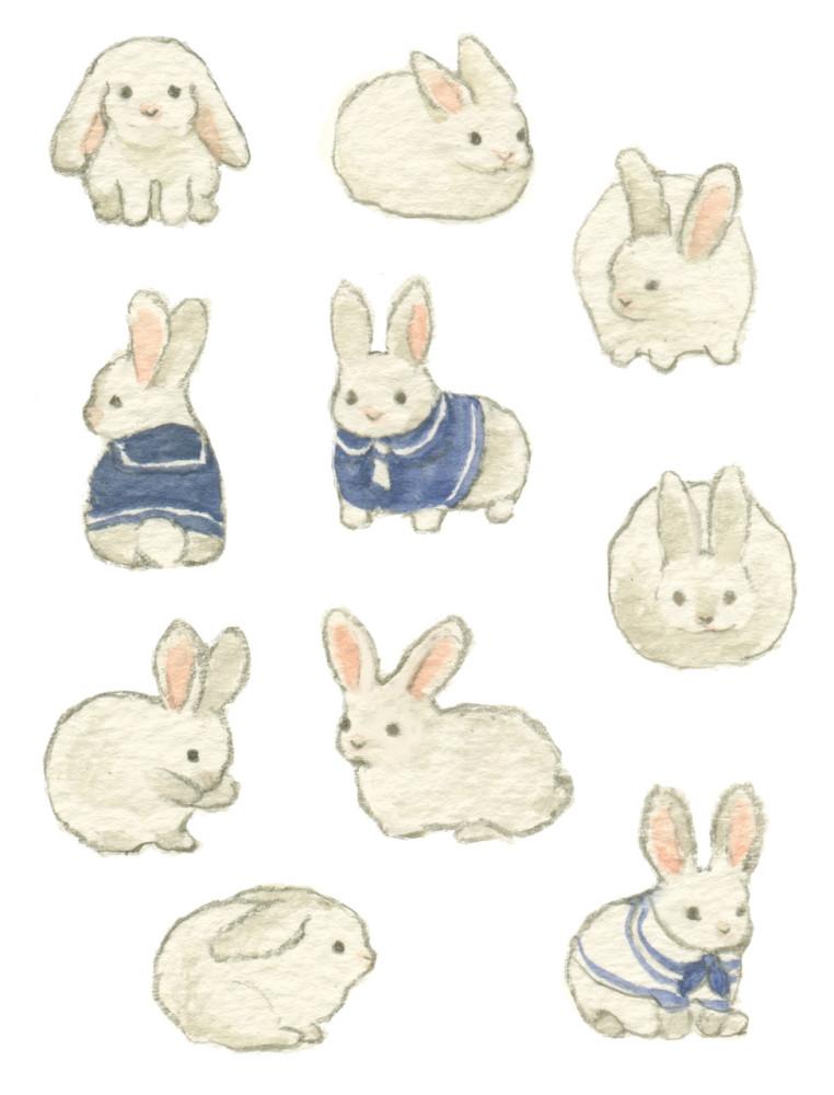 흰토끼 스티커