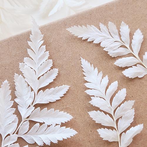 아이보리 고사리 잎파리 +그린,연핑크,퍼플 옵션 추가