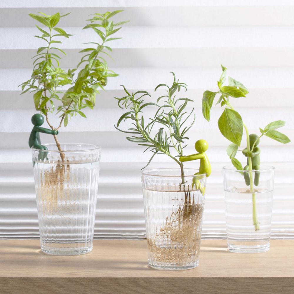 리프렌드 식물지지대 화초 몬스테라 꽃 수경재배 지지대