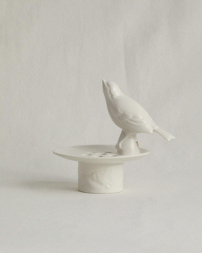 The bird cover_WE