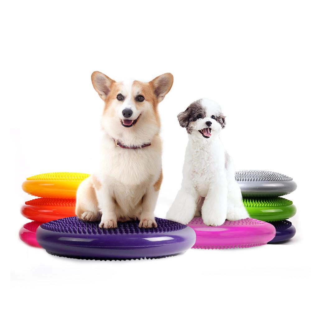 베리앤펫 반려견 강아지 밸런스 볼 퍼플 핑크 운동기구 슬개골탈구 예방 코어 짐볼 어질리티