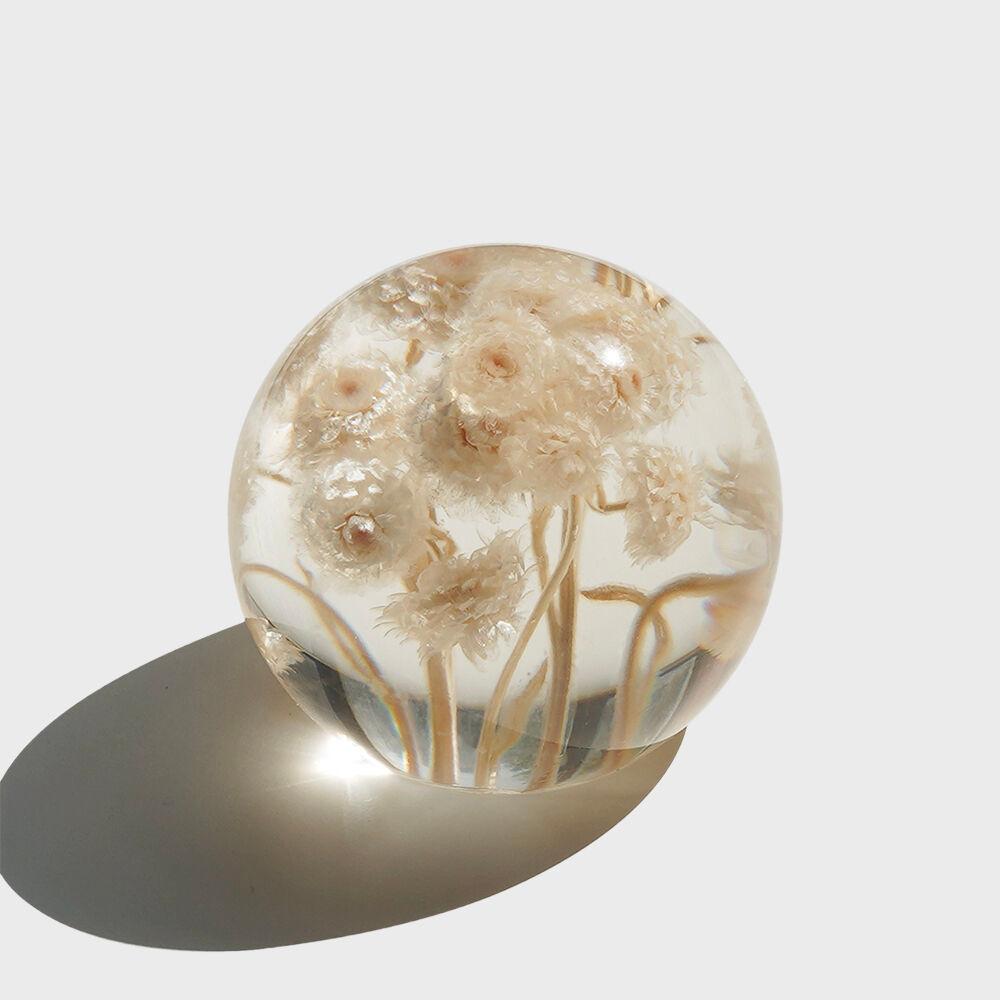 [mixtureshop] immortal ball