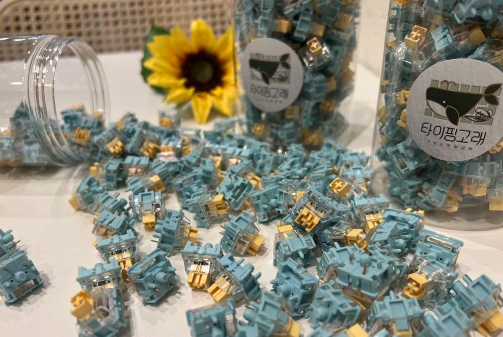 [키보드 공방] Haimu 바다소금 / 전문 수작업 풀 윤활 스위치