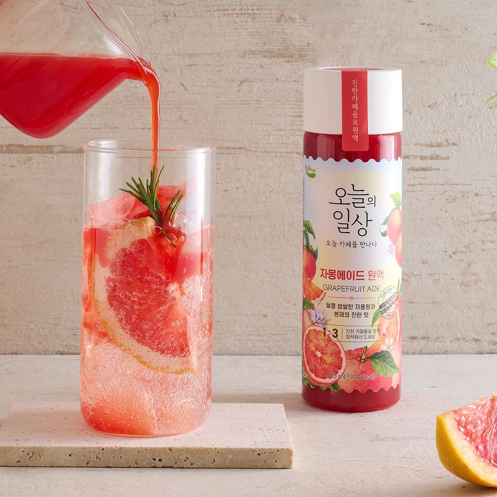 오늘의일상 자몽에이드 원액
