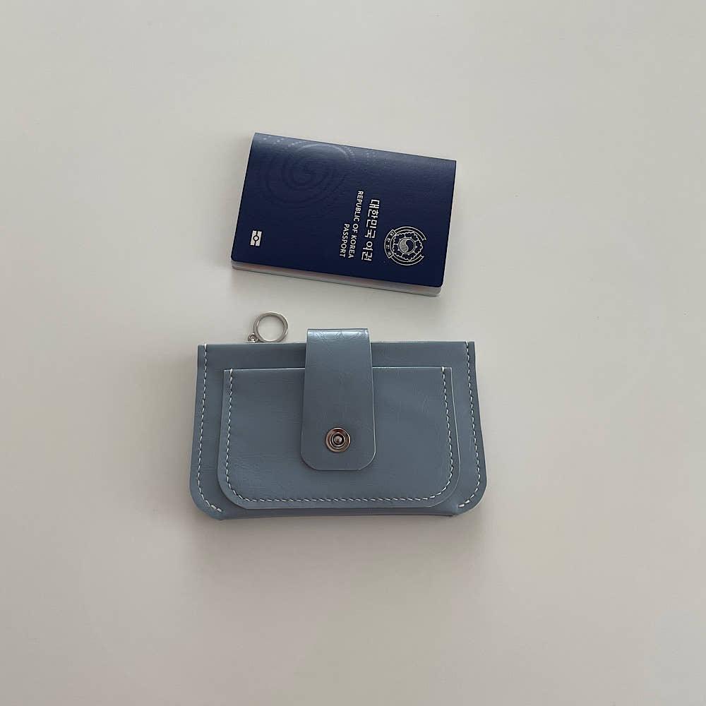 Lindo Passport Wallet (Blue)