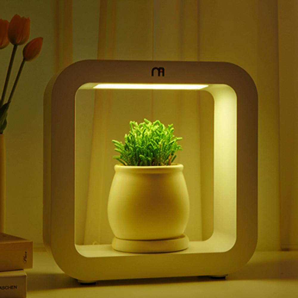 정린네 모글모글 식물 등 led 재배등 조명 집들이선물