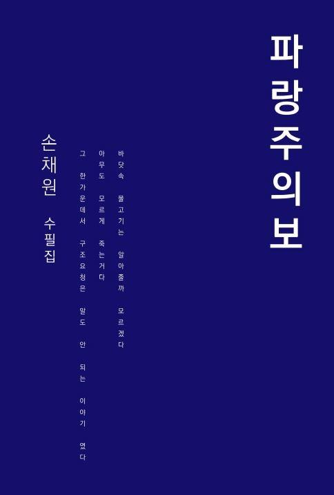 파랑주의보 - 손채원