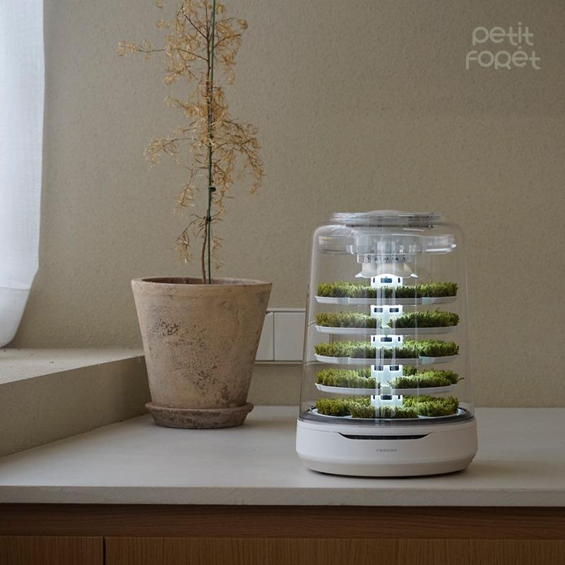 [쁘띠포레 미스트] 일상 속에서 만나는 자연, 살아 숨 쉬는 천연 이끼 테라리움