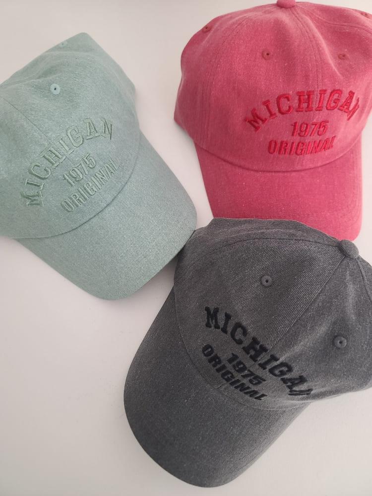 피그먼트 미시건 볼캡