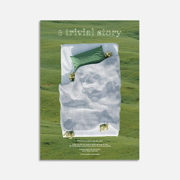 a trivial story poster A2size