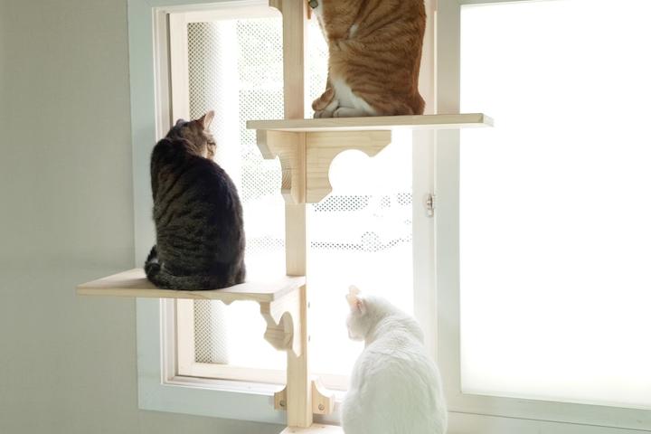 고양이 벽면 창문캣폴 3단 원목 NEW 캣폴