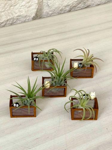 이오난사 마켓프렌즈