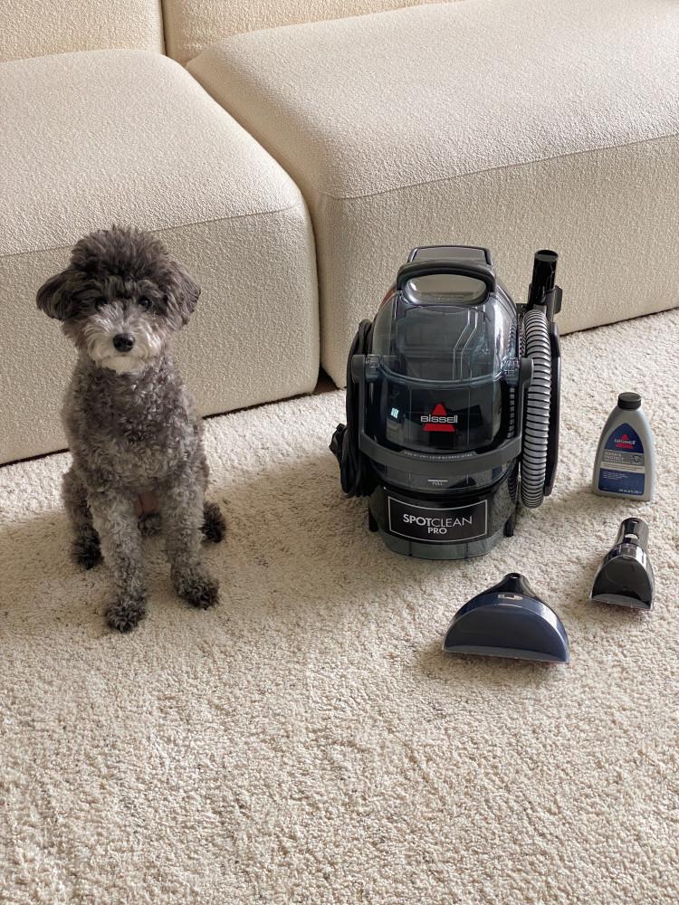 [공동구매 3차] 비쎌 스팟클린 프로페셔널 다용도 습식청소기 러그 카펫 매트리스 매트 차량내부 패브릭