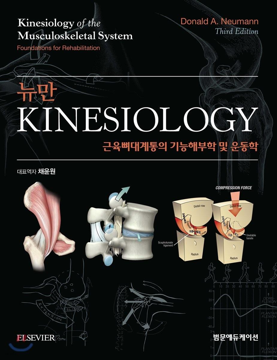 뉴만 kinesiology 근육뼈대계통의 기능해부학 및 운동학 - 예스24