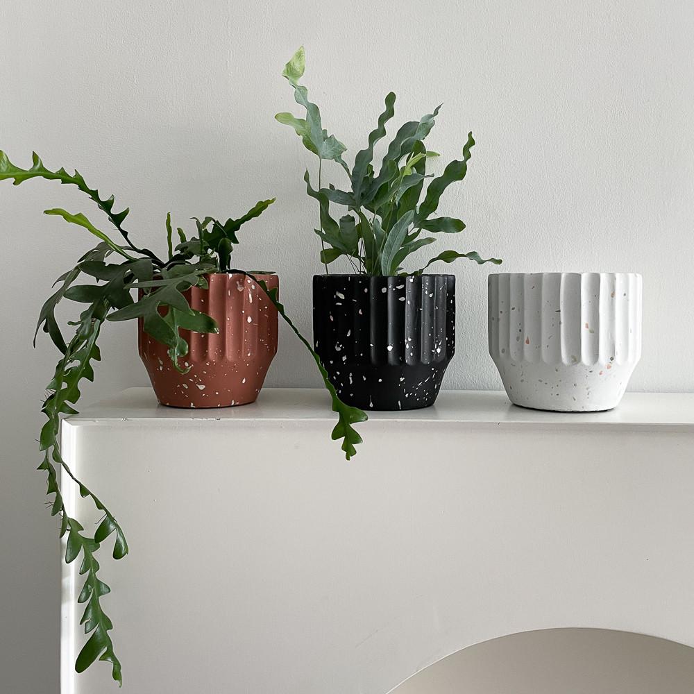 매트 팟 시리즈 스텔라 식물 디자인 가드닝 화분 분갈이 중형 토분