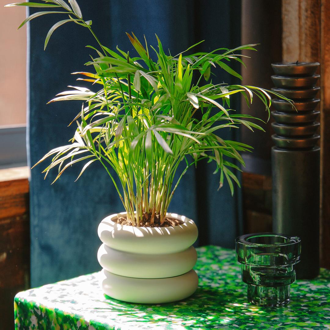 [AREAWARE] Stacking Planter Mini, Short / White