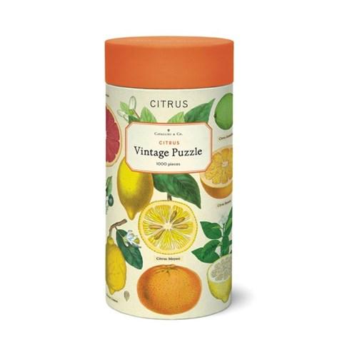 빈티지퍼즐 - Citrus