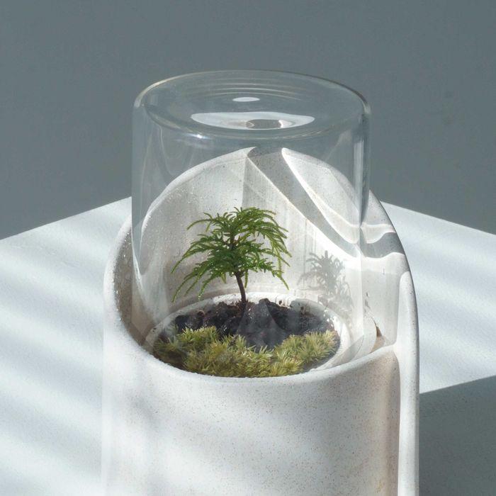 나무이끼 테라리움 가드닝키트 트리허그