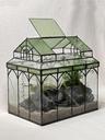 Terrarium : House