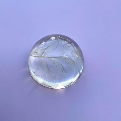 🕊️플라워문진 B 루스커스 paperweight