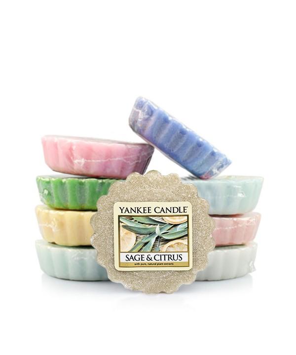 세이지&시트러스 (Sage&Citrus)