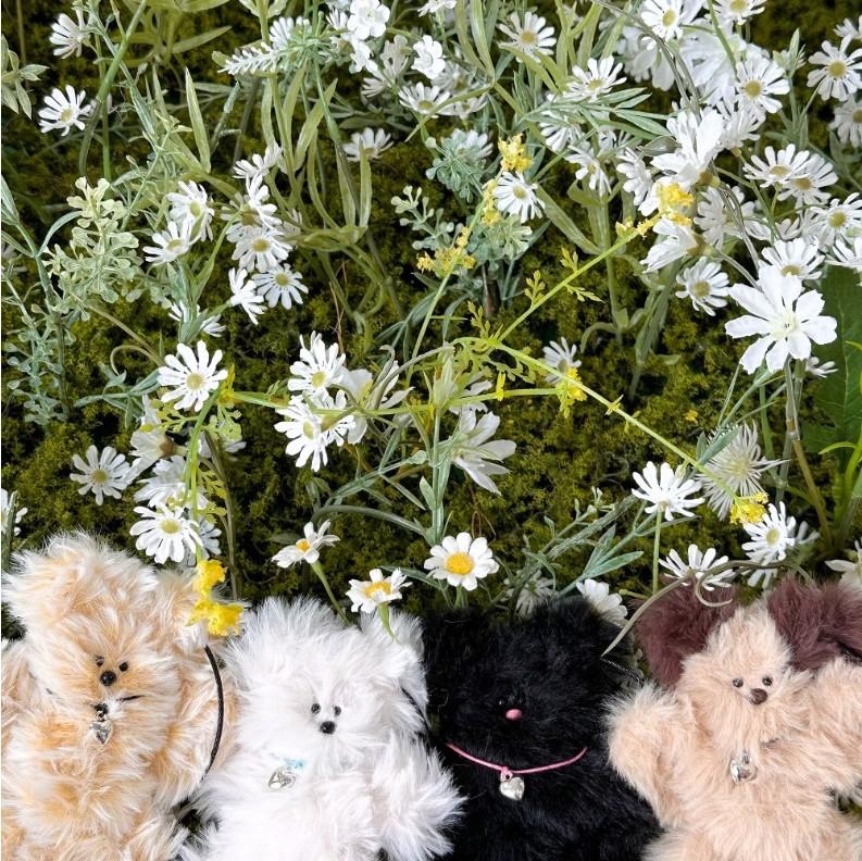 [프티베어] BUTTY BEAR KEYRING 부티베어 인형키링