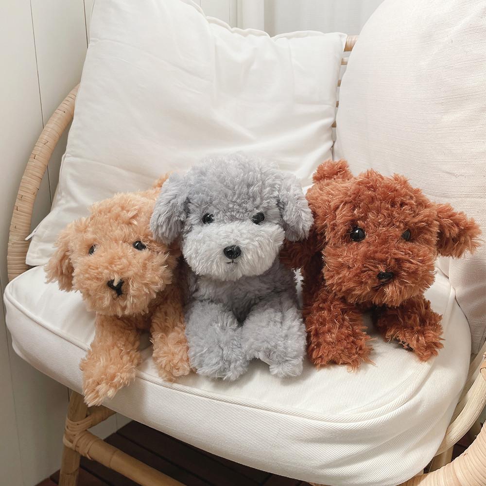 [선레몬] 토이푸들 강아지 무릎인형 S사이즈 히자완꼬