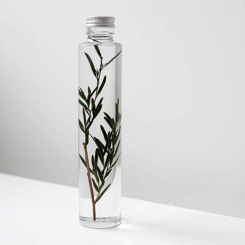 식물표본 200ml_Tea tree