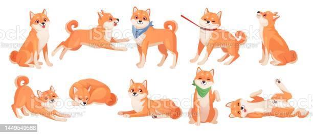 시바 이누 애니메이션 Kawaii 개 만화 Shibainu 강아지 스티커 껍질 일본 만화 개 활동 모피 애완 동물 포즈 서 앉아 잠자는 스트레칭 독창적 인 벡터 일러스트 레이 션 설정 동물에 대한 스톡 벡터 아트 및 기타 이미지