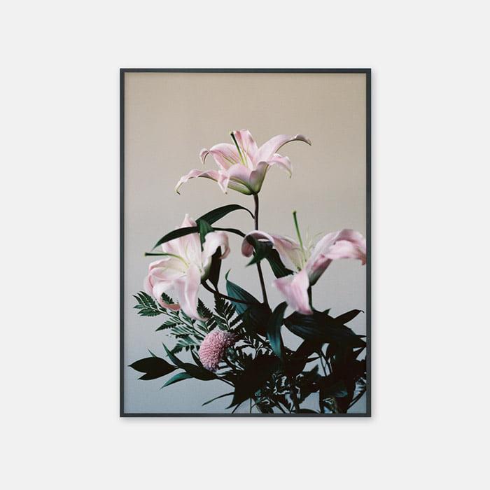 lily 0002 포스터