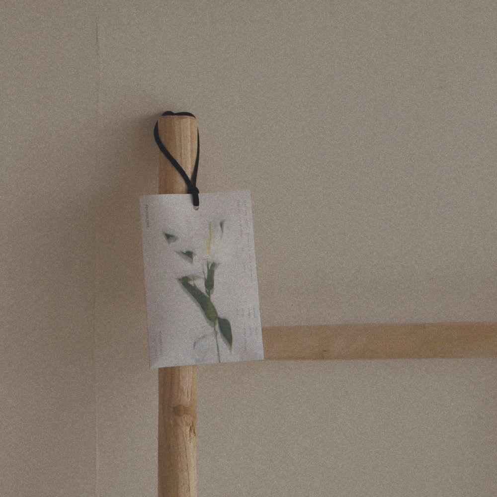 퍼퓸드 샤쉐 40g (REMINISCENCE)