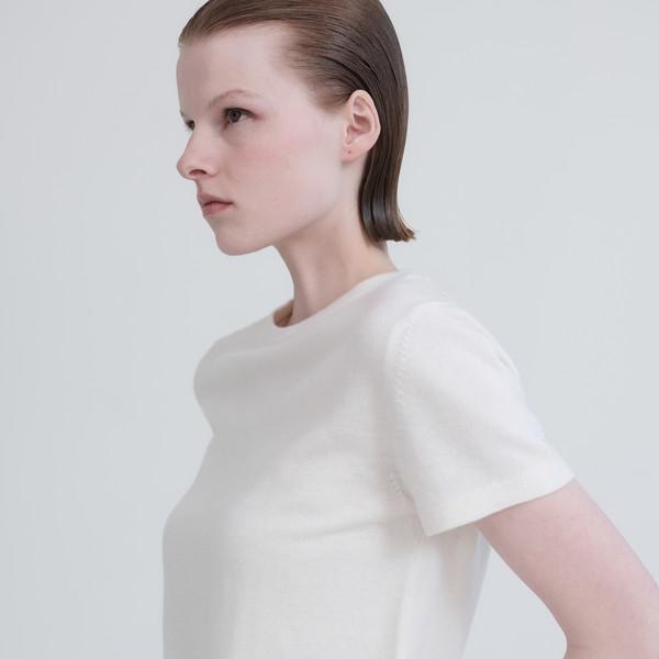 100% Wool Basic T-Shirt_3 Colors