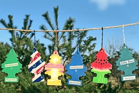 걸이형 차량용방향제 홈사쉐 6P 세트 (21가지향)