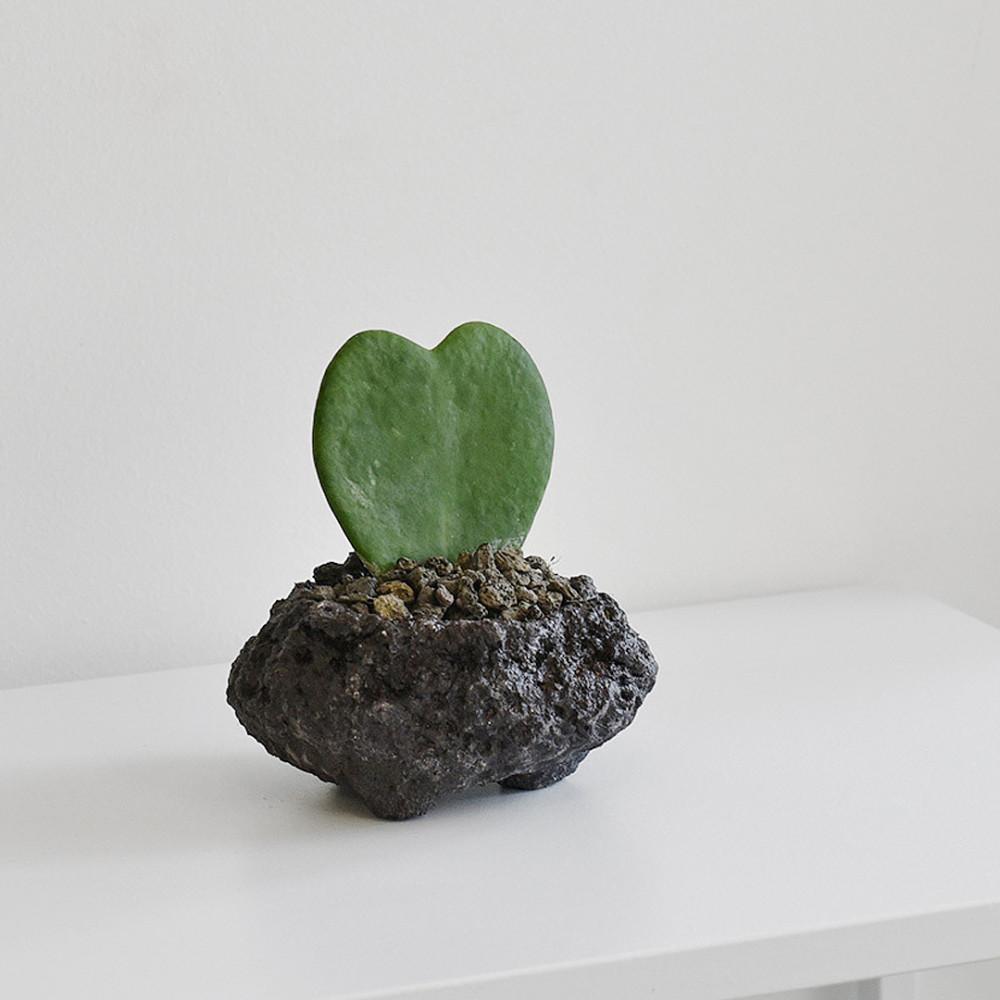 마이플랜트 현무암 화산석 블랙 돌화분 미니 인테리어 화분