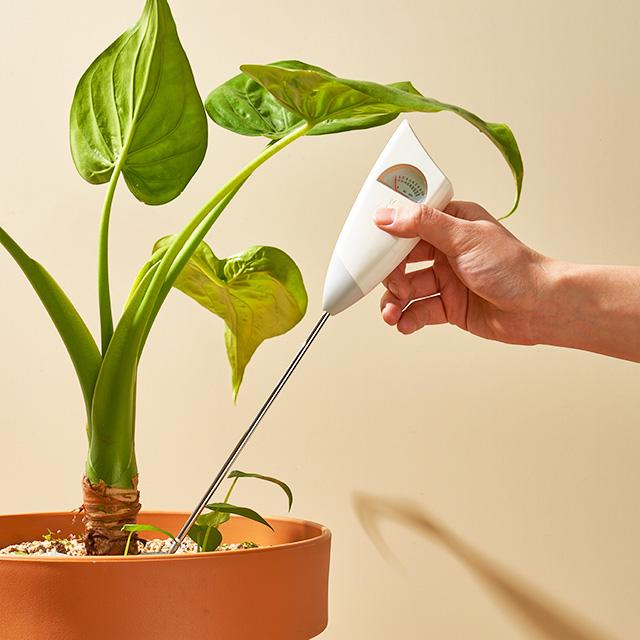 반려식물을 위한 과습방지 식물 토양수분 측정기 시즌2