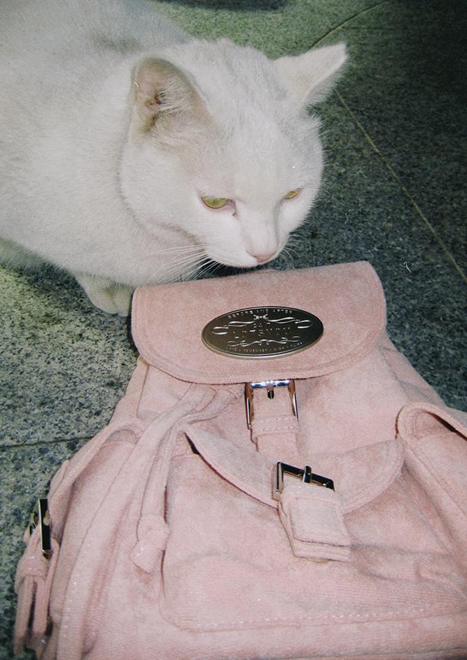 [뉴컬러]lotsyou_Nostalgia Chubby Backpack Pink
