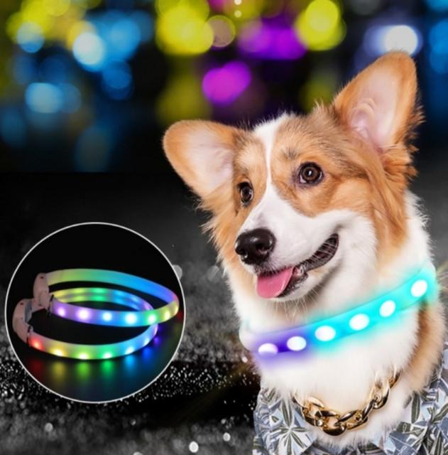 강아지 LED 무지개 목걸이 야간산책 핵인싸목줄 대형견부터 소형견 길이조절가능 USB충전