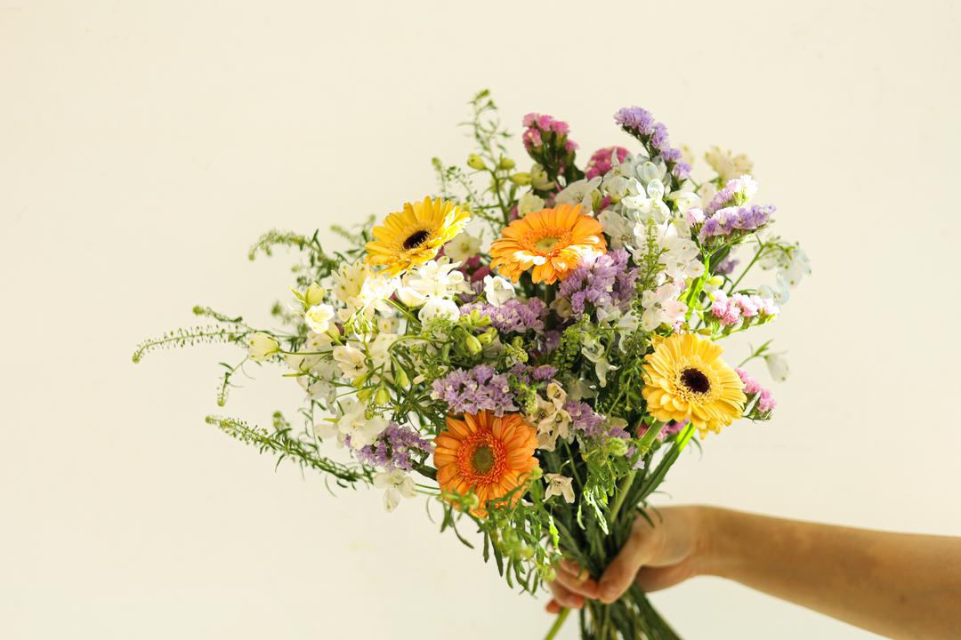 강의준 파머스초이스