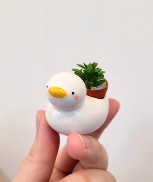 [블프할인]동물친구다육이&스칸디아모스(천연이끼)동물화분