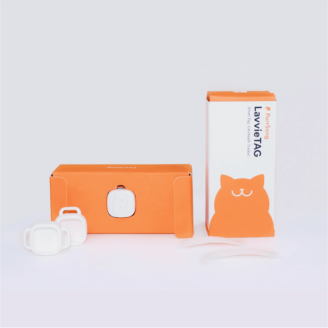 라비태그 LavvieTAG 스마트 고양이 목걸이(스트랩없음/별도구매필요)