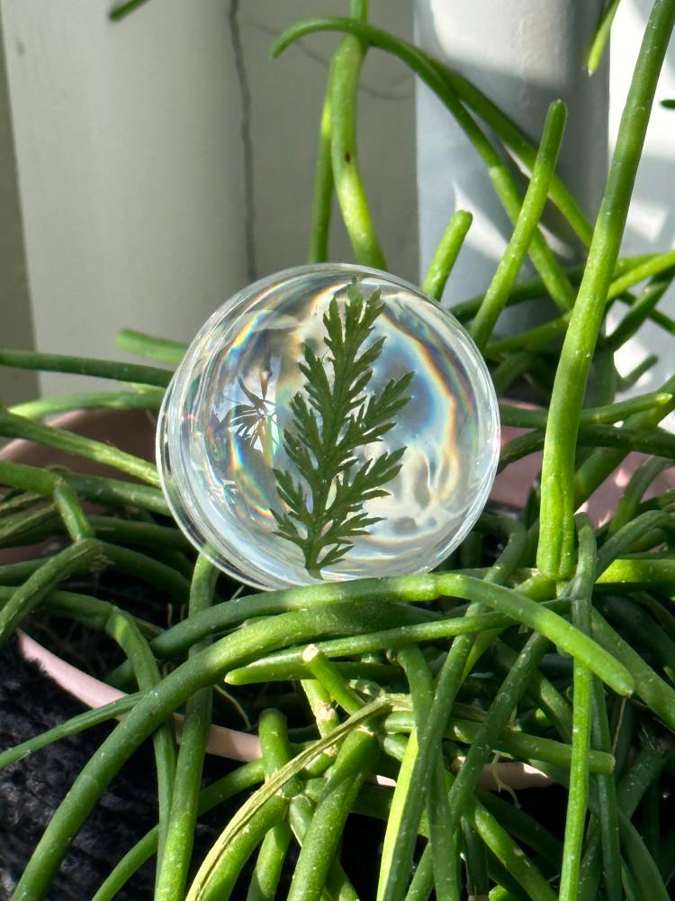 여름나무 만물톡 스마트톡 : Mms 만물생