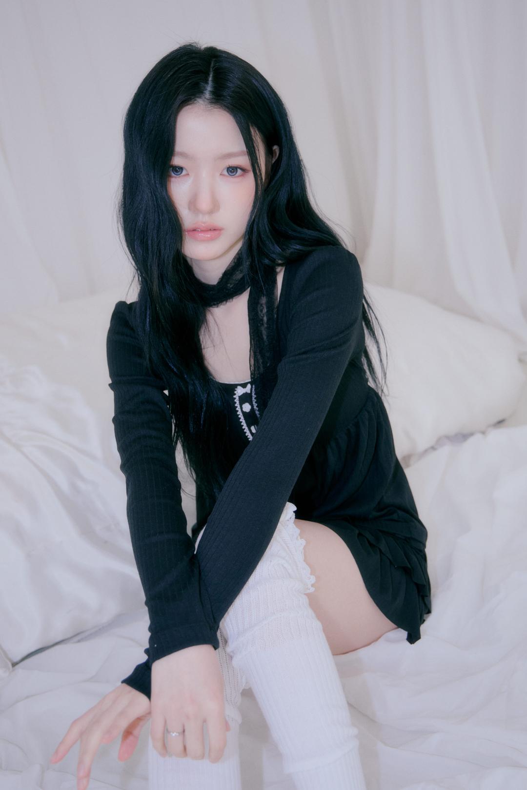 Petal lace scarf (Black)