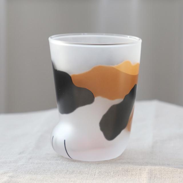 코코네코 고양이발컵 유리컵 (아기고양이) 냥발컵